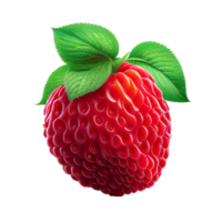 Himbeere Obst png, Himbeeren auf transparent Hintergrund png