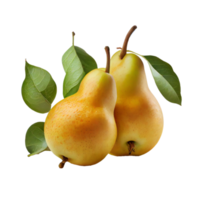 Pear fruit png, Pear on transparent background png