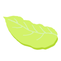 Green leaf isolated png