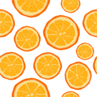 Scheiben von Orangen im klein zu groß Größen. png