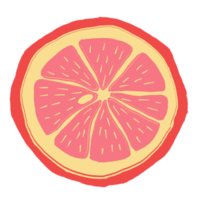 sinaasappels plakjes, stuk van grapefruit png