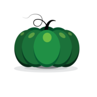 Pumpkin green pumpkin isolate, vegetable for Halloween png