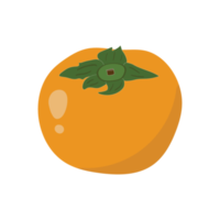 Persimmon is Japanese fruit. Fresh cartoon persimmon isolated png