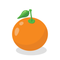 Orangen Obst mit hoch Vitamin png