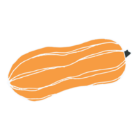 abóbora laranja isolada png