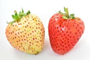 2 strawberries of different colors The unripe fruit will have a yellowish white color. The ripe fruit is red. photo