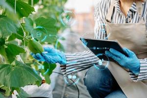 Agriculture technology farmer woman holding tablet or tablet technology to research about agriculture problems analysis and visual icon.Smart farming photo