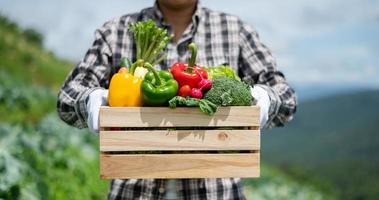 farmer man harvesting fresh vegetable from farm. leisure time togetherness concept. photo