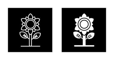 Sunflower Vector Icon