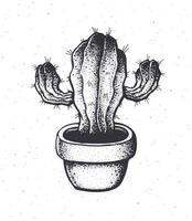 Hand drawn ink illustration of thorny cactus in a flowerpot vector