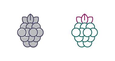 Raspberry Vector Icon