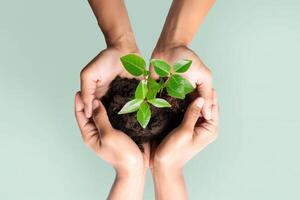 Hand hold plant, save the environment campaign isolated on green pastel background. photo