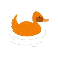 Cute duck swims. Colorful hand drawn vector