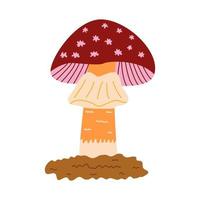 Fly agaric mushroom. Vector hand drawn clip art