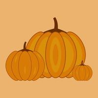Autumn pumpkins of different sizes. Harvesting vector illustration