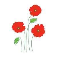 Poppies flowers. Three flowers, two buds. Vector hand drawn