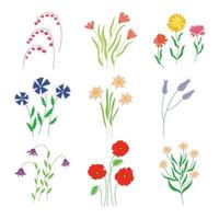 Set of wild meadow and garden flowers. Vector hand drawn