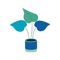 Potted plant, flower with large leaves flat vector