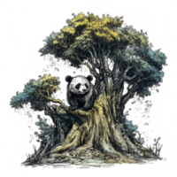 Watercolor painting of Cute Panda png