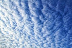 White light soft clouds floating in blue sky. Nature morning landscape background. Clear spring wind. Bright summer day. Winter calm air skyscape. Abstract panorama. Change climate. Low angle view photo