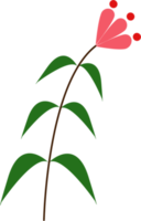 minimal botanical flower png