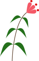 minimal botanisch Blume png