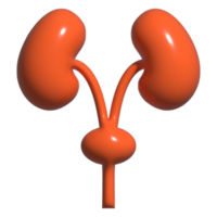 3d ikon av njure png