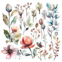 Set of watercolor flowers leaves, and twigs on a white background vector