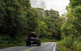 Asphalt road with cars passing through the forest photo