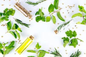 top view fresh spices and herbs with glasses on white background. top view green herbs and spices with glasses on white background. top view herbs and spices with glasses on white background photo