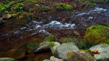 Picturesque mountain river close up video