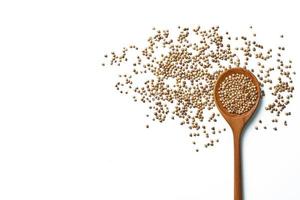 top view coriander seeds in a wooden spoon on white background with copy space photo