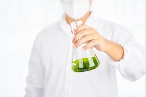 Asian scientist with science research biology with seaweed or kelp in the laboratory on white background photo