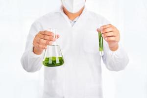 Asian scientist with science research biology with seaweed or kelp in the laboratory on white background photo