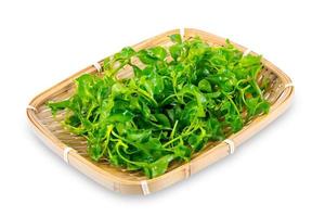 watercress in wooden dish isolated on white background. fresh watercress in wooden dish isolated on white background. watercress leaf in wooden dish isolated on white background with clipping path photo