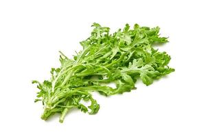 green leaves bunch crown daisy or garland chrysanthemum. glebionis coronaria isolated on white background. tong ho, Shungiku photo