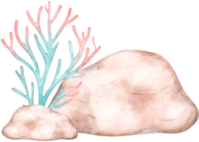 schattig waterverf koraal rif met bruin steen tekenfilm hand- schilderij png