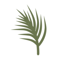 Green twig isolated in doodle style png