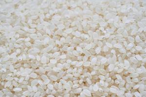 close up short grain rice isolated on white background. Japonica rice texture photo