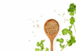 top view or flat lay dry coriander seed spice and leaf or leaves in wood spoon on wooden white table overhead background photo