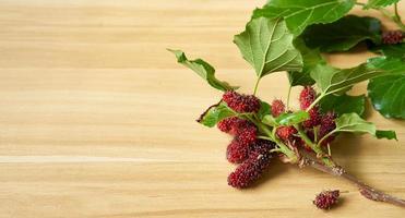 mulberry branch and leaves on the wooden table background with copy space photo