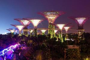 SINGAPORE-SEP 04-Night view of The Supertree Grove at Gardens by the Bay on SEP 04, 2014 in Singapore behind Marina Bay sand photo