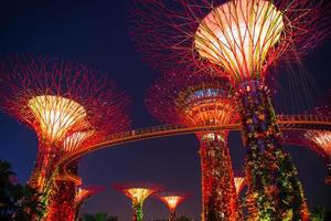 SINGAPORE-SEP 04-Night view of The Supertree Grove at Gardens by the Bay on SEP 04, 2014 in Singapore behind Marina Bay sand photo