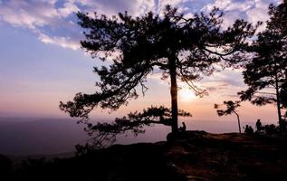 hermosa puesta de sol con silueta viajero y pino árbol a lom sak acantilado. foto