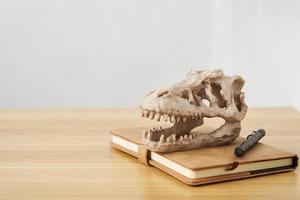 concept of Paleontology education background. dinosaur skull on wooden table clean mood background photo