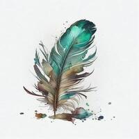 western feather watercolor white background. photo
