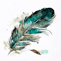 western feather watercolor white background. photo