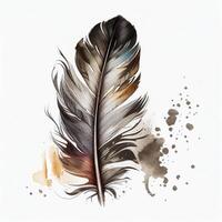 western feather watercolor white background. photo