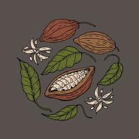 Cocoa. Hand drawing Cocoa beans, sketch of leaves, flowers and cocoa tree. Organic product. Doodle sketch for cafe, shop, menu. Parts of plants. For label, logo, emblem, symbol. Vector illustration