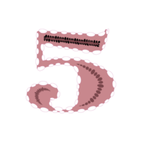 Number five or 5 colorful, pink color isolated design. png